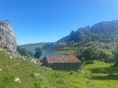Discovering Artisan Cheese in the Picos de Europa
