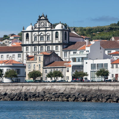 Pico Island | Discover Culinary Delights with Oh! My Cod Tours
